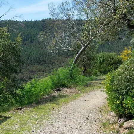 Sublime With Large Terrace And Pool