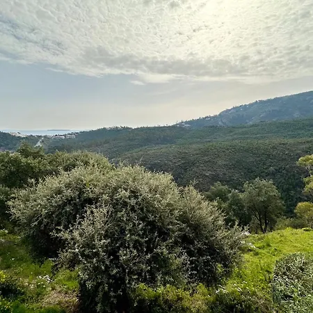 Sublime With Large Terrace And Pool Apartamento Mandelieu