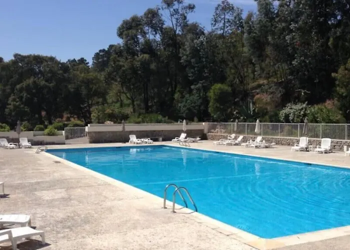 公寓 Sublime With Large Terrace And Pool Mandelieu
