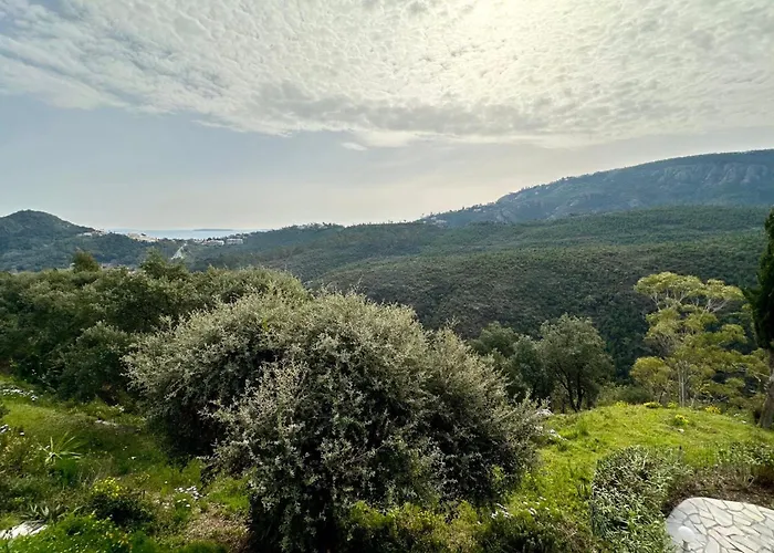 Sublime With Large Terrace And Pool Apartmán Mandelieu